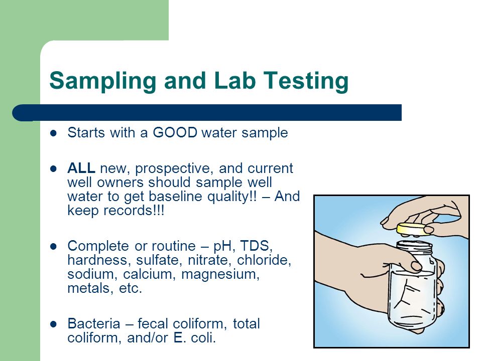 Vancouver & Toronto Mold Testing, Bacteria Analysis Laboratory